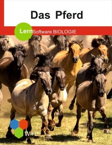 lernsoftware-das-pferd.jpg